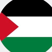 سـعـد بن مـعـاذ 🇵🇸 (@1_0_0_s) 's Twitter Profile