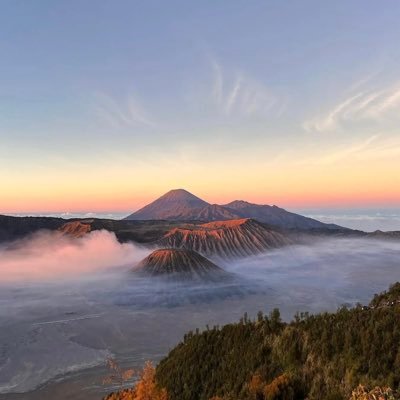 qq995523's profile picture. 