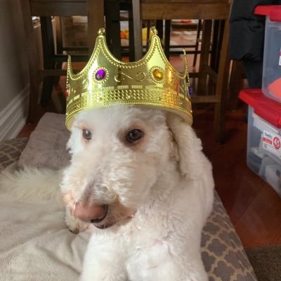 baczek_jeffrey's profile picture. 