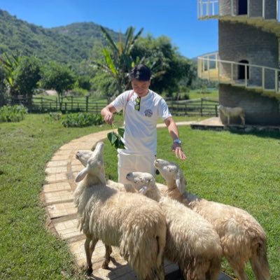 Tonytranxt's profile picture. 