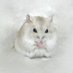 ちゅーたろう (@_chutarou) Twitter profile photo ちゅーたろう (@_chutarou) Twitter profile photo