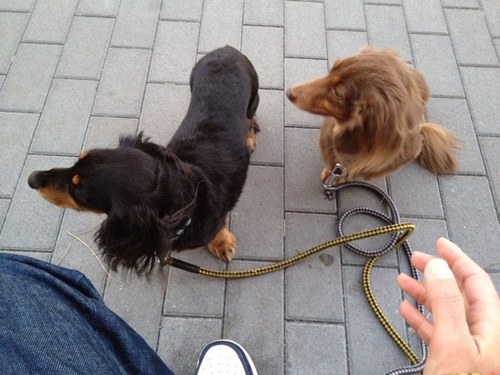 110HANAE's profile picture. 