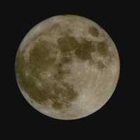 Jaffs (@syedjaffery01) 's Twitter Profile