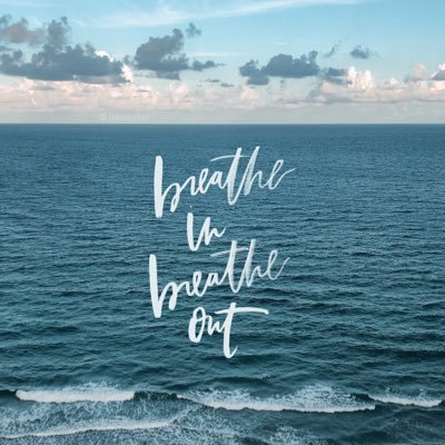 LaineyEC's profile picture. 