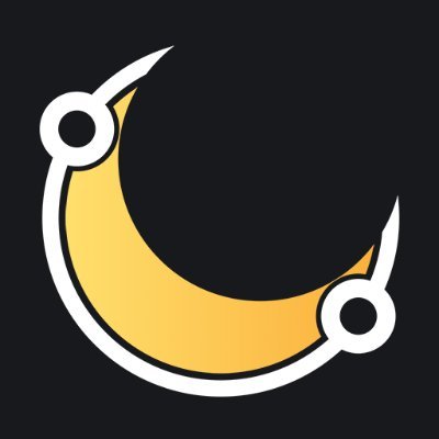 FromTheMoonDevs Profile Picture