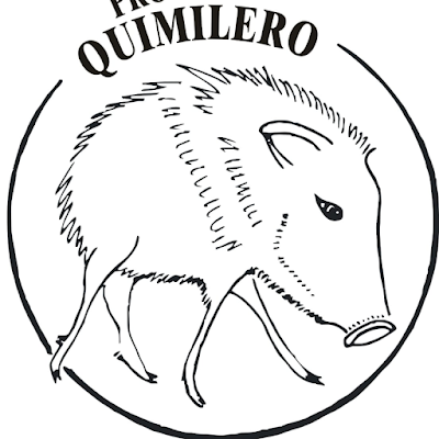 proyecto quimilero Profile