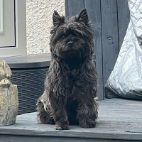Hector Heath 🌸🏞️🪐🎣🎮🔫🐶 (@hectorheath) 's Twitter Profile