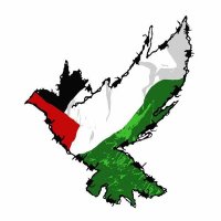 Snowmery 🇵🇸🇨🇩🇸🇩 (@dokjahyunglove) 's Twitter Profile Photo Snowmery 🇵🇸🇨🇩🇸🇩 (@dokjahyunglove) 's Twitter Profile Photo