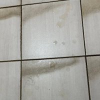 金珍熙 (@zqvf5) 's Twitter Profile