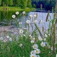 Daisy (@burleson464721) 's Twitter Profile