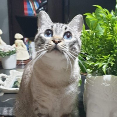 huugooLtVlls's profile picture. 