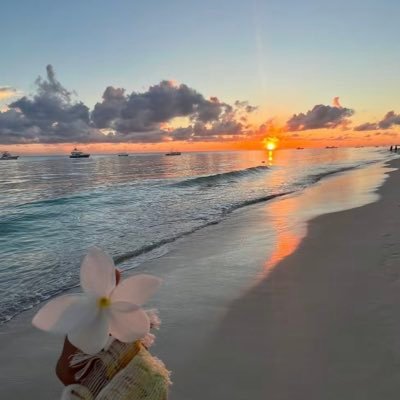 theimaaa's profile picture. 