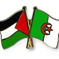 ImraneNFT's profile picture. 🇯🇴🇯🇴🇯🇴🇯🇴