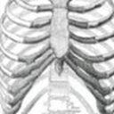 Sidney Rouse - @rouse_sidn2634 - Twitter