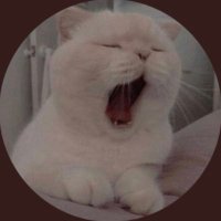 اميرة العتيبي (@amyrh_al3tybi1) 's Twitter Profile