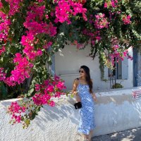 Claudia Rowan (@claudiarowan) 's Twitter Profile
