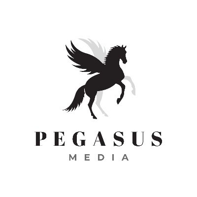 Pegasus Media & Consulting Ltd. is a production house, communications consultancy and event agency. @PegasusMediaIrl