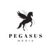 Pegasus Media (@PegasusMediaIrl) Twitter profile photo