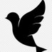 BLACK BIRD (@birdblack__) Twitter profile photo BLACK BIRD (@birdblack__) Twitter profile photo