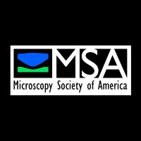 Microscopy Society(@MicroscopySoc) 's Twitter Profile Photo