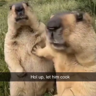 josh39540430's profile picture. 