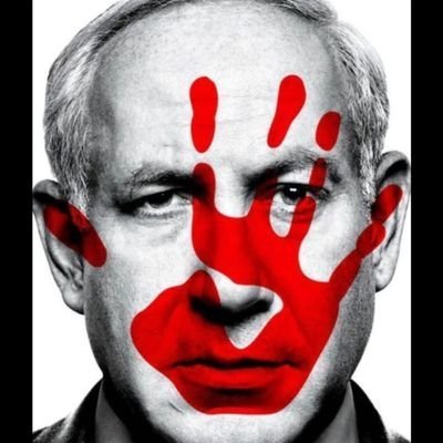 guyogev's profile picture.