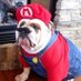 MDR (bien sur) Trithor (@trithor_) Twitter profile photo MDR (bien sur) Trithor (@trithor_) Twitter profile photo