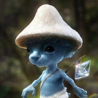 so real smurf cat ethereum #smurfcat 🍄🙀💙