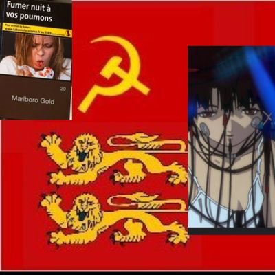 ValDormeurvan's profile picture. J'aime ce qui est de près ou de loin anticapitaliste- L3 d'histoire spé gauchisme factieux, marxiste-LAINiniste 
je reviendrai toujours plus seumard qu'hier