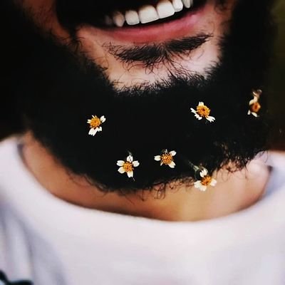 Ziad_Shokry1's profile picture. زياد شكري