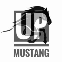 UP mustang Stable (@dreadi1990) Twitter profile photo