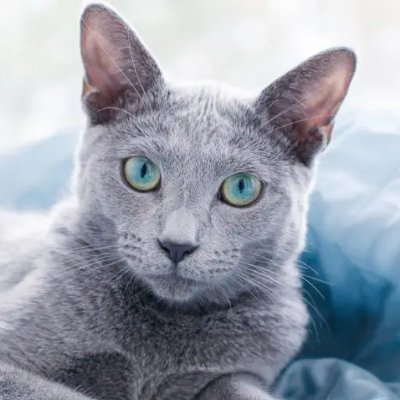 1tbTUhcyDo17370's profile picture. YaleのRobert Shillerに学ぶ/現在とりあえず国会議員(現職大臣)の無給の私設秘書/自己の利益の為だけに頑張ります/10月18日のアカウント凍結/ツイッタージャパンの問題をつぶやきます/ダイビング用に石垣島に別宅が欲しい〜