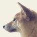 cobachie (@co_bachie) Twitter profile photo cobachie (@co_bachie) Twitter profile photo