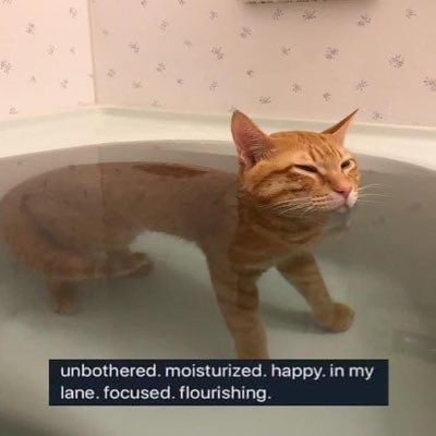 smartless_'s profile picture. to live for the hope of it all