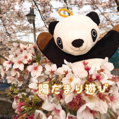 ぱんだのちはやさんのプロフィール画像