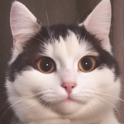 _kenky's profile picture. schizophrenic geo-politic enthusiast .