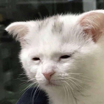 Jackie51898390's profile picture. 👻🌈