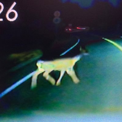 kiji_mackenzie's profile picture. バヌーシー始めました。現在3頭に出資中。グランベルナデット号、秋華賞出走おめでとう。アメコミ、ゴジラ、プラモ、水曜どうでしょう、浜田省吾さんの事とかつぶやきます。