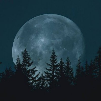 Kuiper/Kay 🌙🌌 Profile