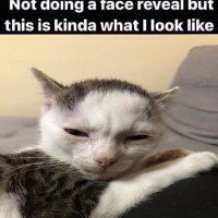 Your mom (@idontgetit7777) 's Twitter Profile