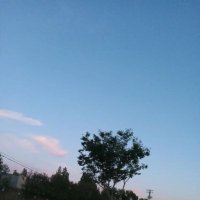 simmanon (@simmanon1) 's Twitter Profile