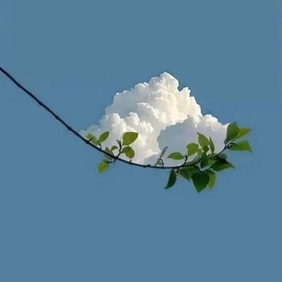 huojianhou's profile picture. 