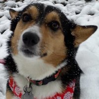 Tyr (@tyr_ow11) 's Twitter Profile