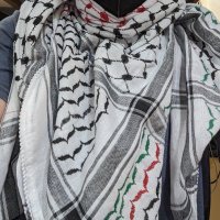 schmaniel 🇵🇸(@Schmaniel) 's Twitter Profile Photo