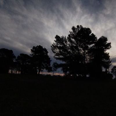 MaiaMar47306812's profile picture. .