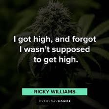 ShyGuySy242's profile picture. 