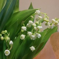 mommy (@mom_mamma_mommy) 's Twitter Profile Photo