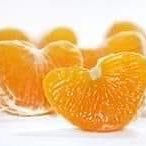 OverRatedGuy's profile picture. 