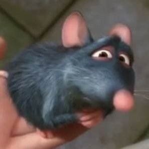 rhiyamahalka's profile picture. 