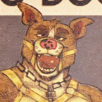 Cider (@ciderpitty) 's Twitter Profile